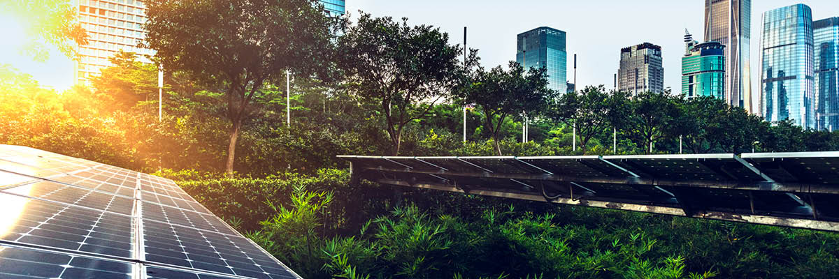 Sun hitting solar panels next to trees and city skyline
